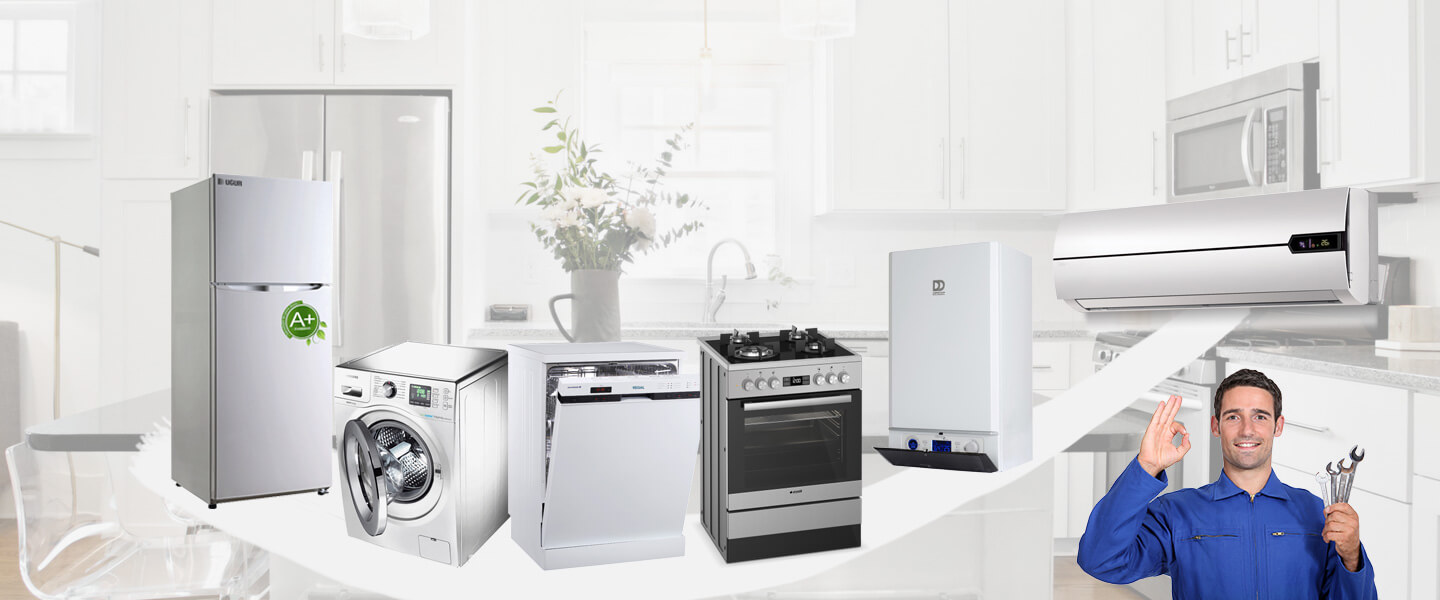 Arpaçay Vaillant Servisi